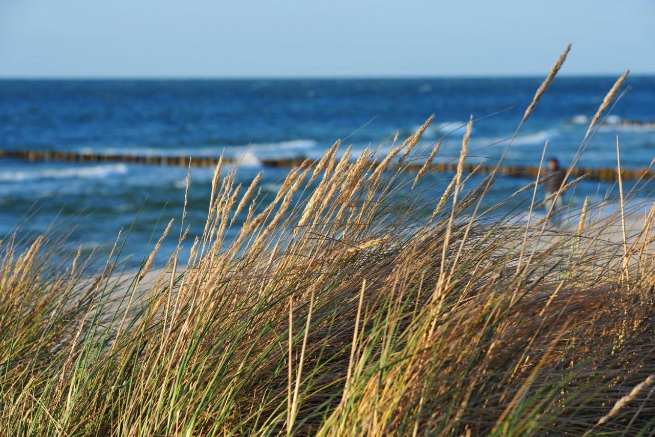 Seestr_54 Nr_304 Zingst Extérieur photo