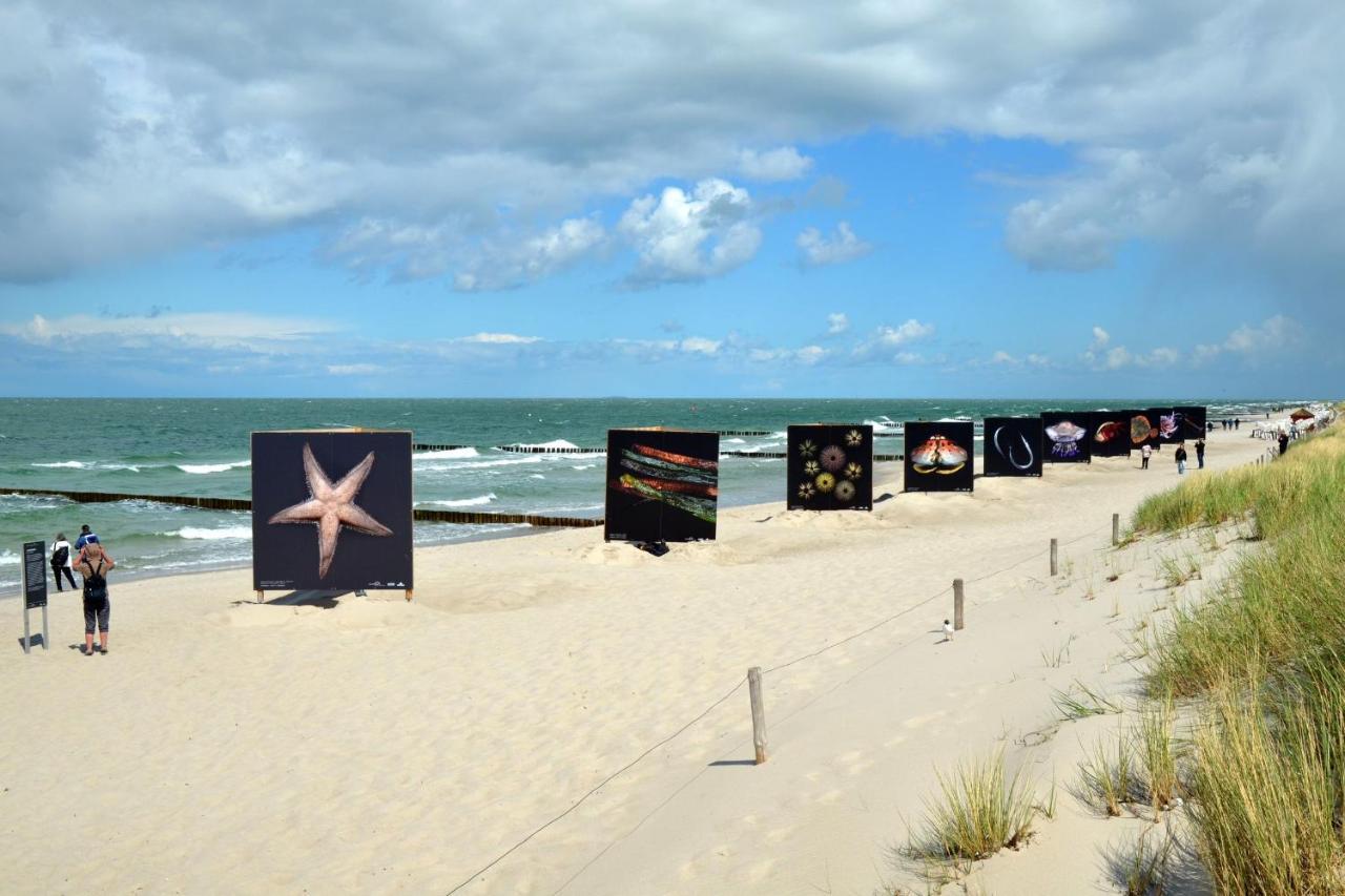 Seestr_54 Nr_304 Zingst Extérieur photo